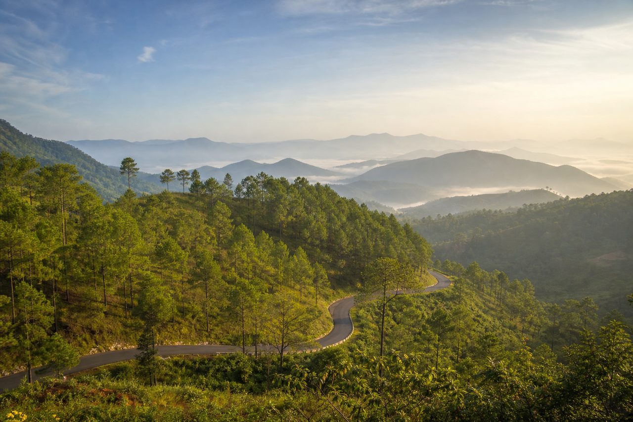 Green pine hills and winding road at Daringbadi in Odisha