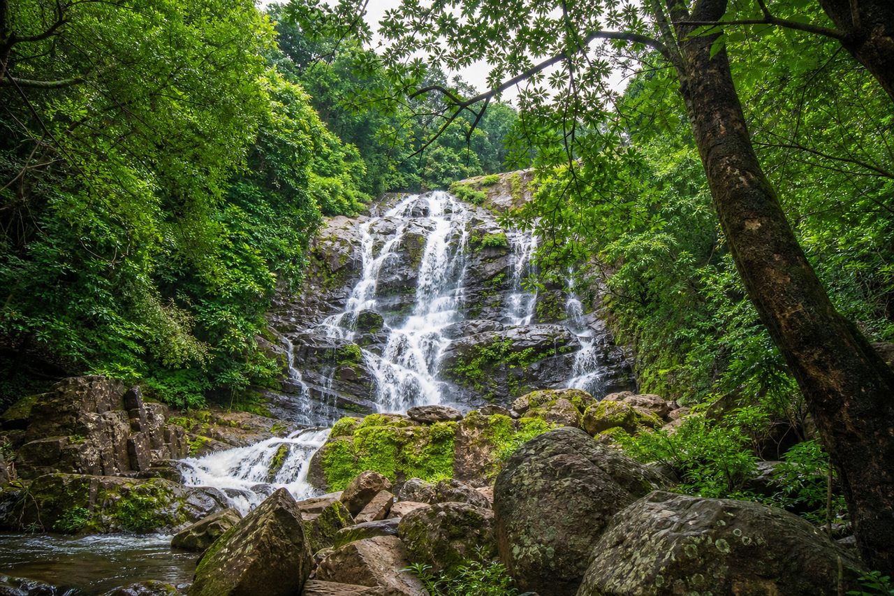 Forest waterfall in Similipal National Park, Odisha
